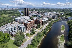 Carleton University